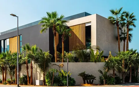 area:al-wasl